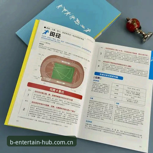 B体育正版平台攻略：从下载到畅玩体育赛事的完整指南